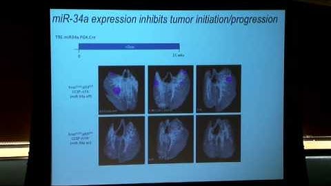 Flipping Switches: Modeling Cancer in the Mouse - Tyler Jacks