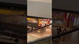 Gunshots as people flee shopping mall screenshot 2