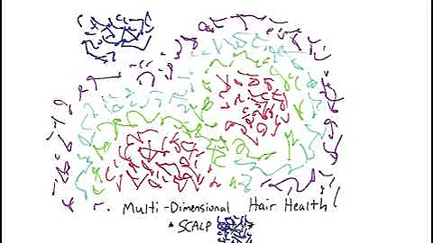 Light Language: Multi-dimensional Hair Health