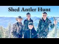 Saturday Shed Antler Hunt | Montana Hike