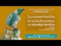 RIByA Paraguay. Tema: Intersecciones entre las normas éticas y jurídicas para la protección de la bi