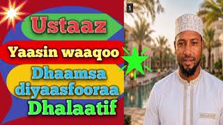 Ustaaz Yaasin Waaqoo Dhaamsa Diyaasfooraa Dhalaatif Waan Jedhu Dhaggeeffadhaa 