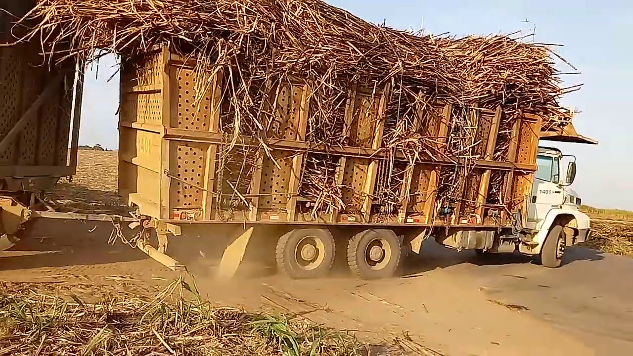 Usina São José safra 2020/2021 caminhão saindo carregado de cana