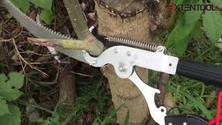 telescopic tree pruner with aluminum telescopic spring button lock pole