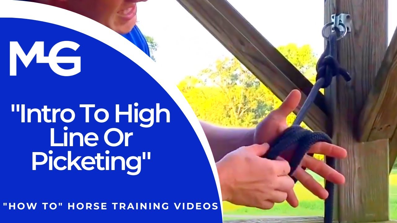 Intro To High Line Or Picketing The Horse Guru Michael Gascon YouTube