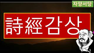 시경129국풍진풍 (겸가) 물결 따라 만나자 하니 물 가운데 모래톱에 있는 듯 하네