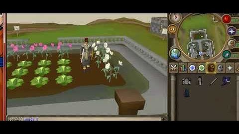 Runescape auto switcher (switch like a pro)