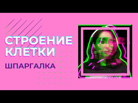 Строение клетки — шпаргалка. ЦТ, ЕГЭ, ЗНО