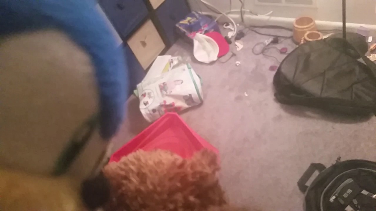 Sonic Adventure Z part 2 toxic tropical