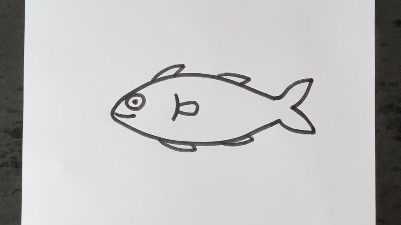 How to draw a Mackerel Fish Sea Animal Easy funny drawings of