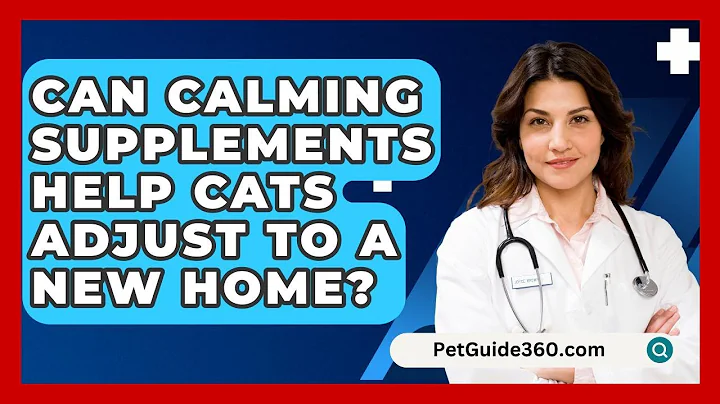 Can Calming Supplements Help Cats Adjust To A New Home? - PetGuide360.com