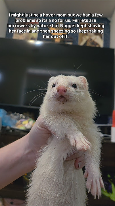 Download lagu This Was A Mistake