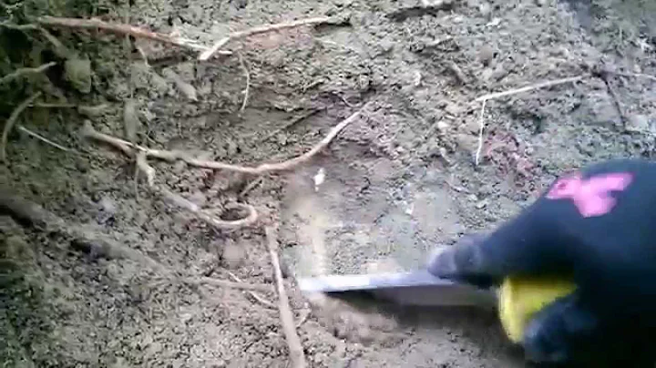 XP Deus and Jerry Talley dig a 16" deep minie ball...