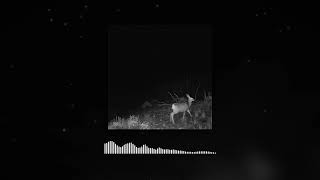 Truman Sinclair - Right On Time (Slowed + Reverb)
