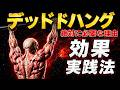 30歳以降に絶対やるべきデッドハング ~毎日10秒ぶら下がるだけでいい~