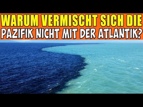 Video: 9 Fragen, Auf Die Ich Wirklich Die Antworten Während Des Lebens Wissen Möchte - Alternative Ansicht