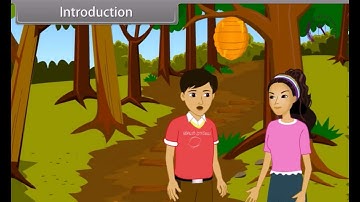 Arithmetic progressions animation video class 10