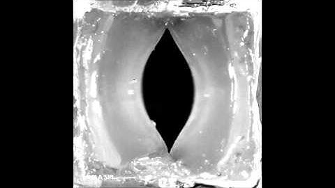 Vibration of an isotropic physical vocal fold model