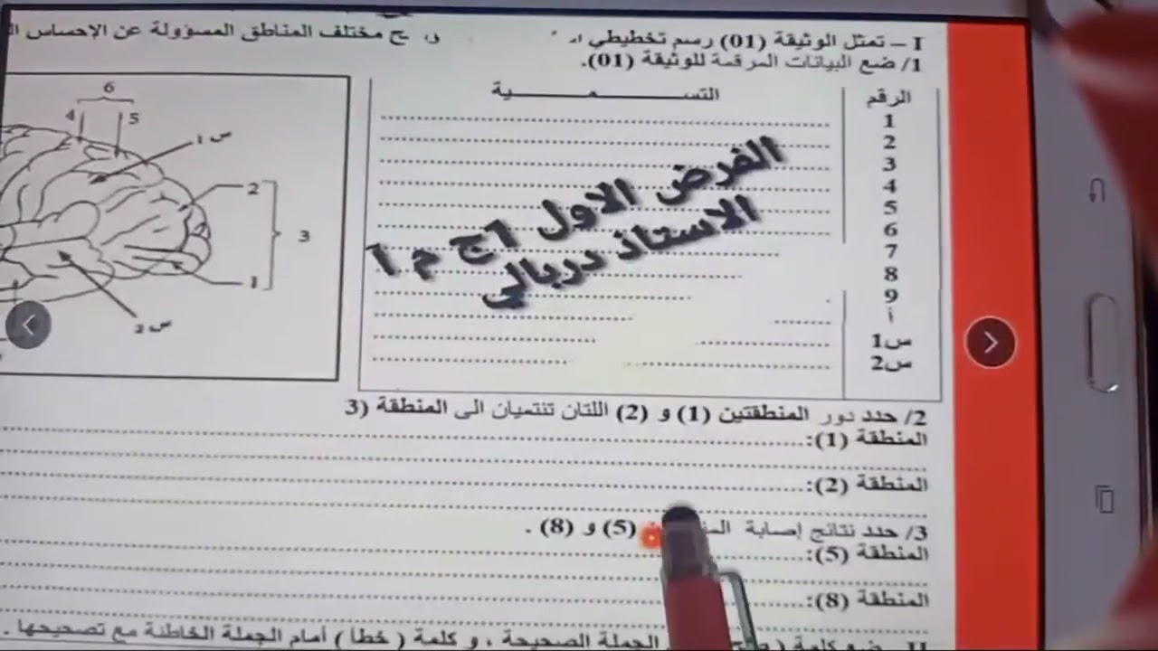 نموذج فرض العلوم الطبيعية أولى ثانوي