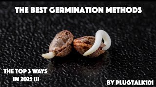 How To Germinate Seeds - The Plug Talk 101 Show  (Episode 1)
