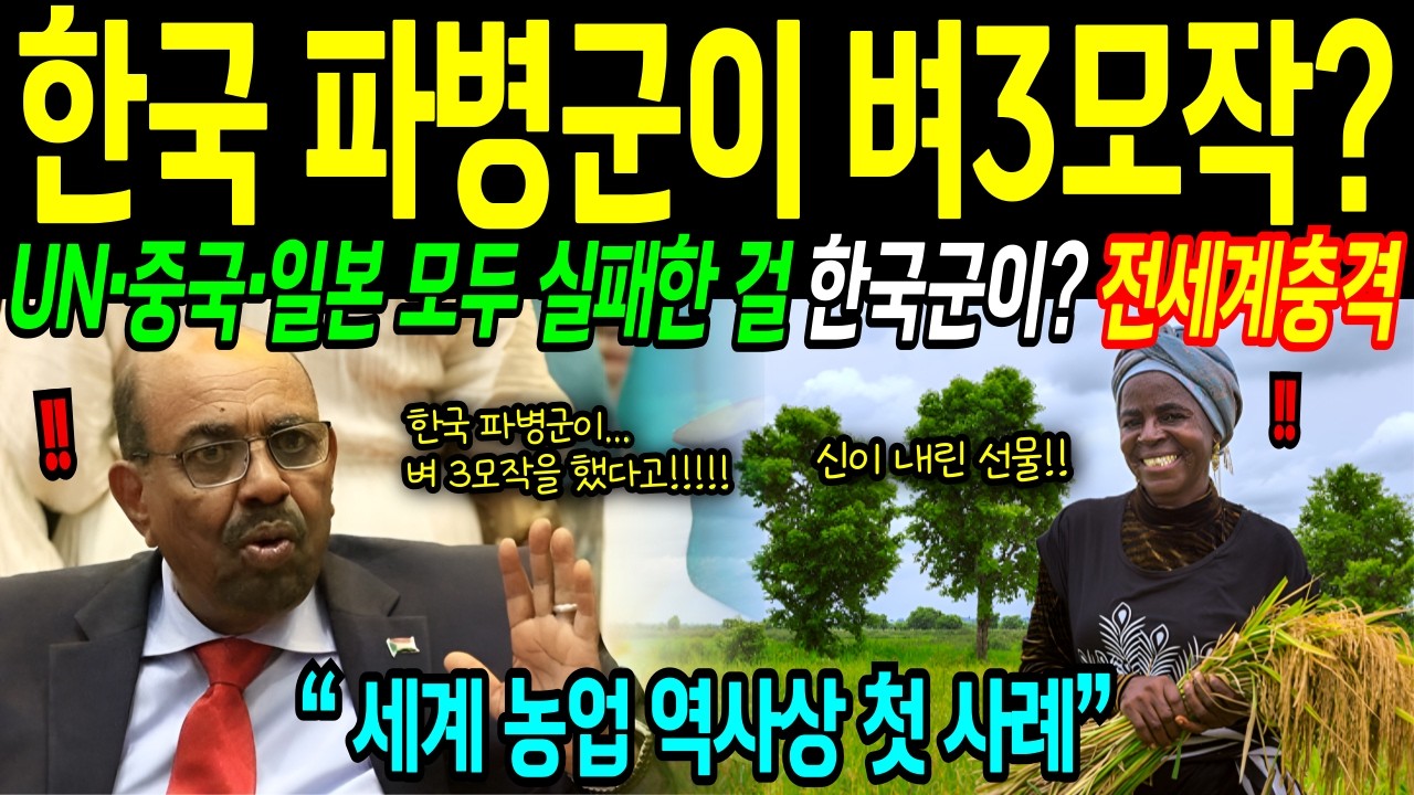 [해외감동사연] 한국 파병군이 남수단에서 일으킨 벼 3모작의 기적! 중국, 일본, UN이 실패한 벼농사, 한국이 성공시킨방법