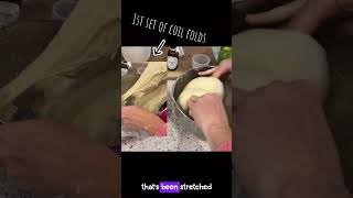 Beginner Sourdough Watch The Gluten Develop 