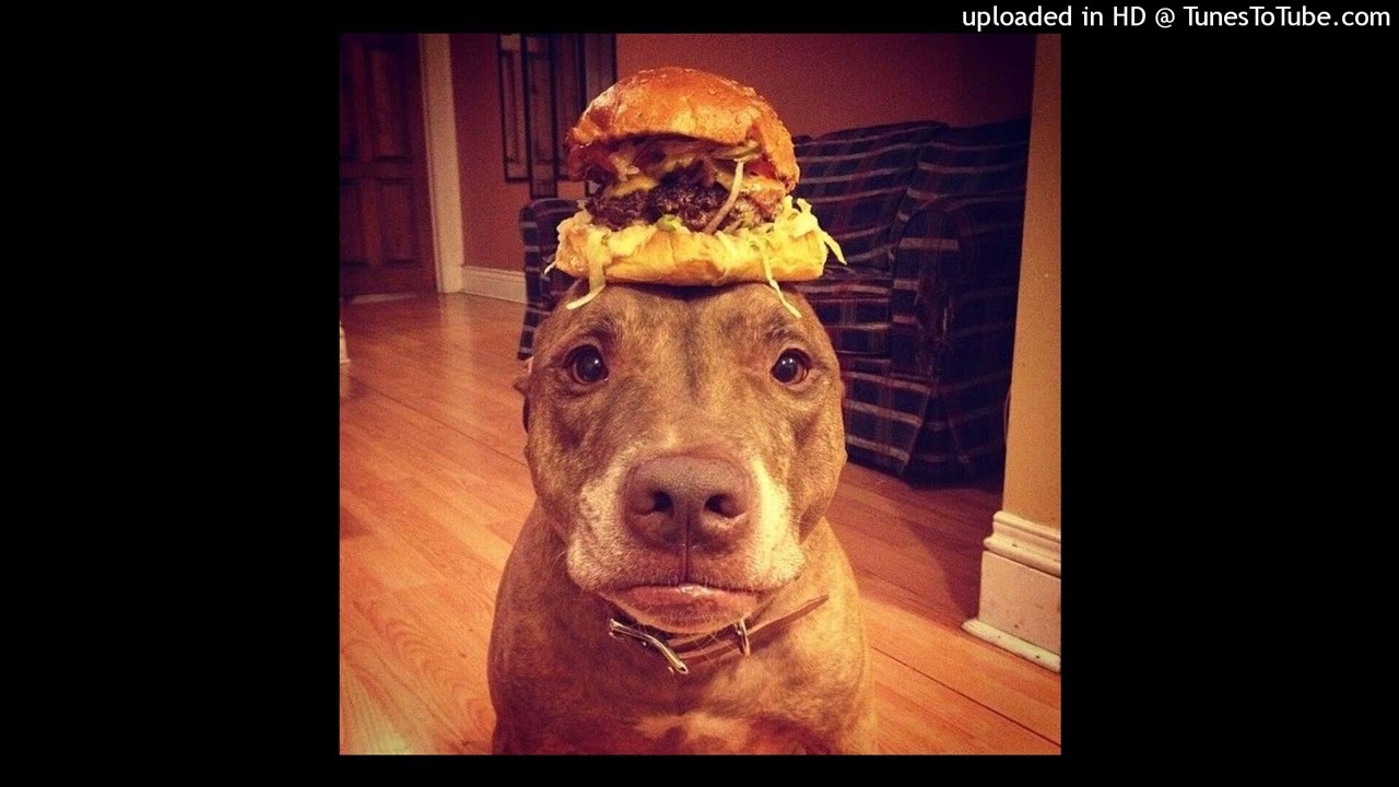 edward skeletrix oOo serial killer dialogue skeletrix island type beat