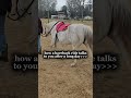 real #fypage #fypシ゚viral #fypp #fyp #horse #love