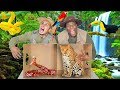 What's In The BOX Challenge? (JUNGLE ANIMALS EDITION)