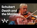 Capture de la vidéo Schubert: String Quartet No. 14 'Der Tod Und Das Mädchen' Arr. String Orchestra