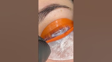 elleebana lash lift🧡 #lashlifting #lashliftandtint #lashliftkit #lashliftprocess #lashlifttutorial