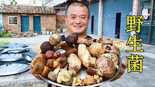 都說野生菌鮮美無比，花600元買4斤，炒辣椒鮮美無比，名不虛傳
