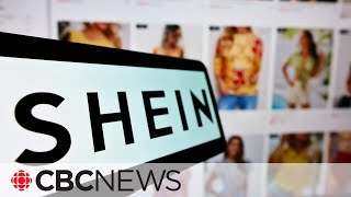 Influencers under fire for paid trip to Shein clothing factory