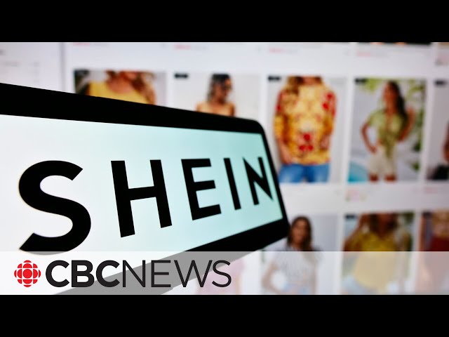 Influencers under fire for paid trip to Shein clothing factory 