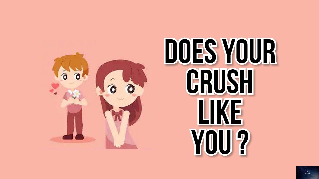 DOES YOUR CRUSH LIKE YOU ? | Quiz | Test Zoid. - YouTube