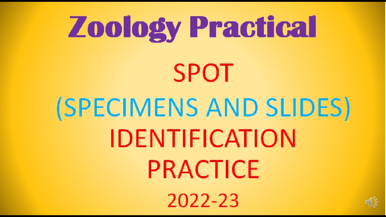B.Sc. 1st YEAR SPOT IDENTIFICATION  PRACTICE (2022-23)