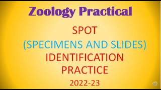 B.Sc. 1st YEAR SPOT IDENTIFICATION  PRACTICE (2022-23)