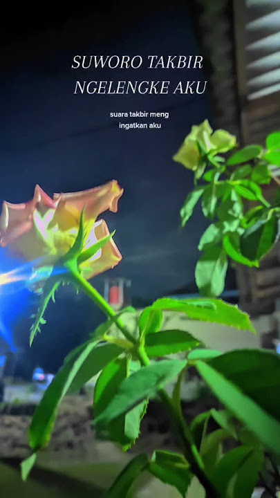 Tulisan tangan#shortvideo #didikempot