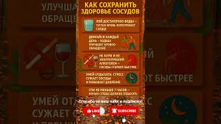 Как сохранить здоровье сосудов