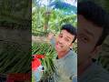 Tumne Agar Pyar SE dekha nahi❤️#shorts #trending #love #hit song #Hindi video #YouTube viral