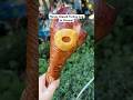 Honey Glazed Turkey Leg at Disney California Adventure!