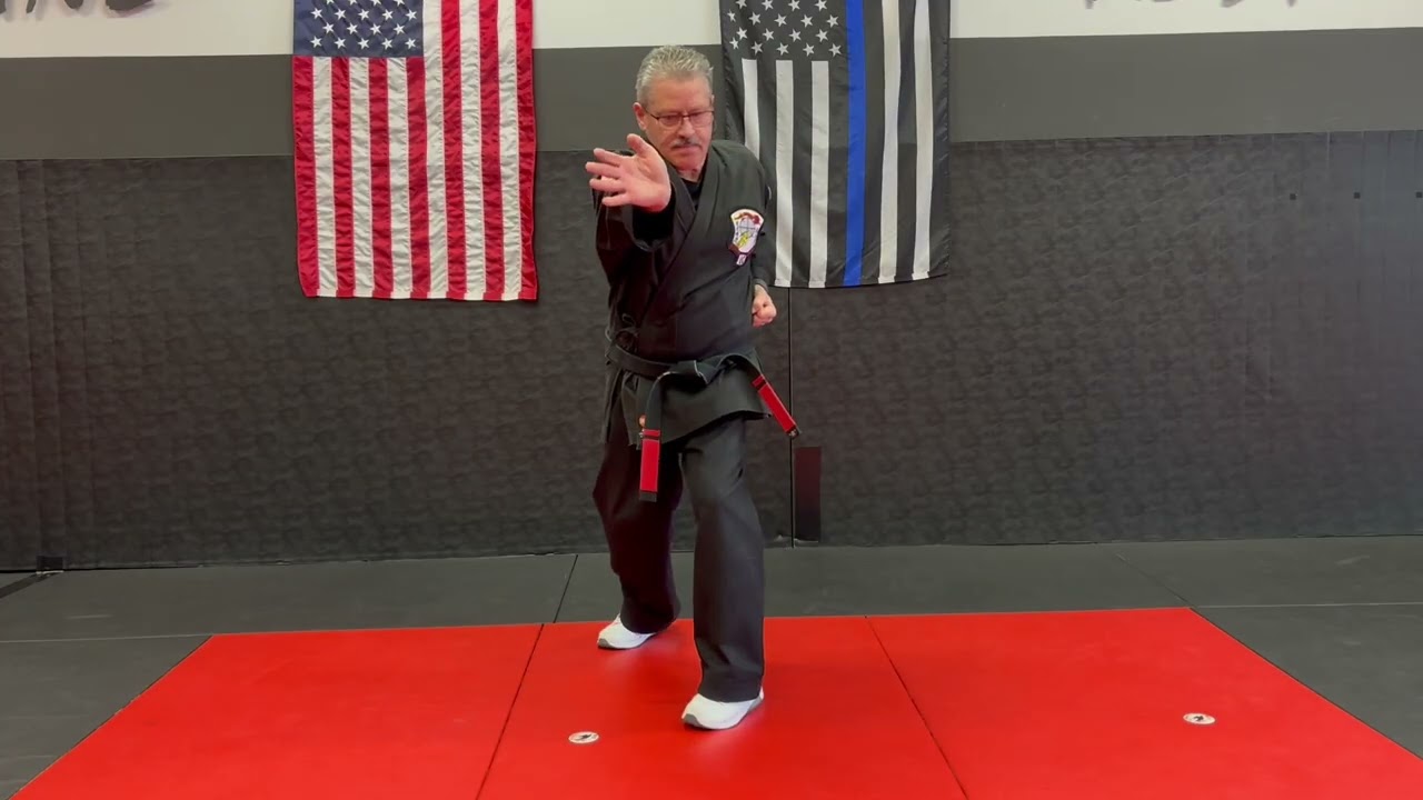 Dragon Self Defense Techniques for Brown 2nd, Brown 1st and Advancement Bellt