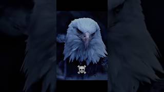 Animals death stare🤡 vs Eagle Death Stare💀