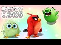 Angry birds  colorful chaos  special compilation