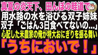 【感動する話】真夏の炎天下、田んぼの用水路の水を浴びる双子姉妹「ごはん…3日食べてないの」→米農家の俺がうちに連れ帰って特大おにぎりを振る舞った結果…【朗読・スカッと・泣ける話】