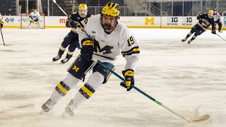 Brendan Brisson (Michigan): 2020-21 NCAA Season Highlights