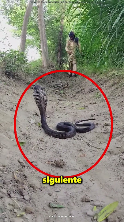 Suddenly a snake appears while the farmer is bathing 😱