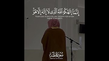 قرآن كريم بصوت القارئ ناصر القطامي 💛 | حالات واتس اب دينية