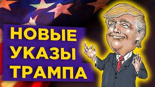 Новые пособия от Трампа, споры о дивидендах Норникеля, индекс цена на недвижимость в Москве /Новости