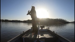 Lanier Bass Fishing - Sunday Morning by The Seasoned Sportsman 336 views 2 years ago 4 minutes, 48 seconds